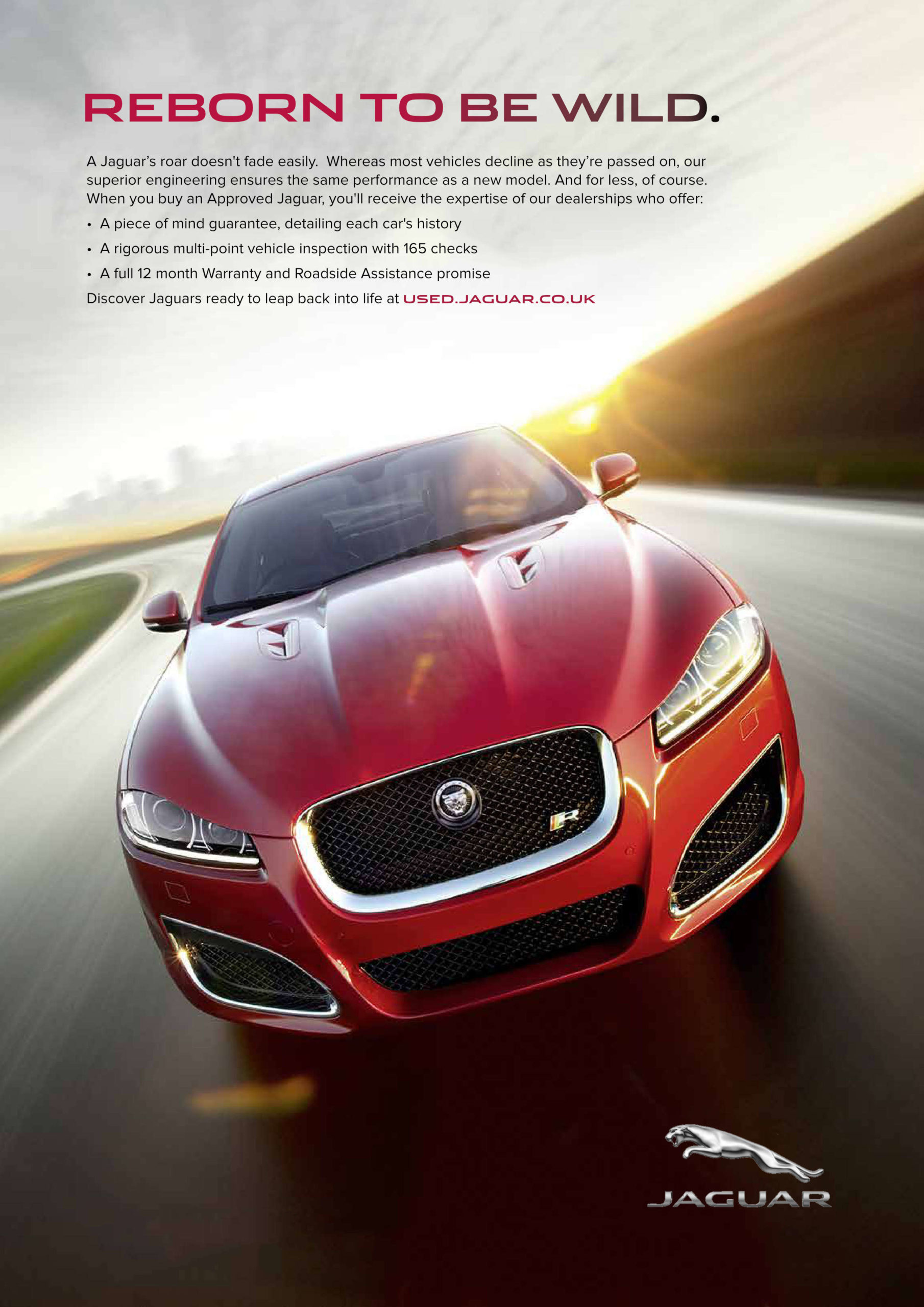 Jaguar-Reborn-AFF-PHOTO-5520-60-quality