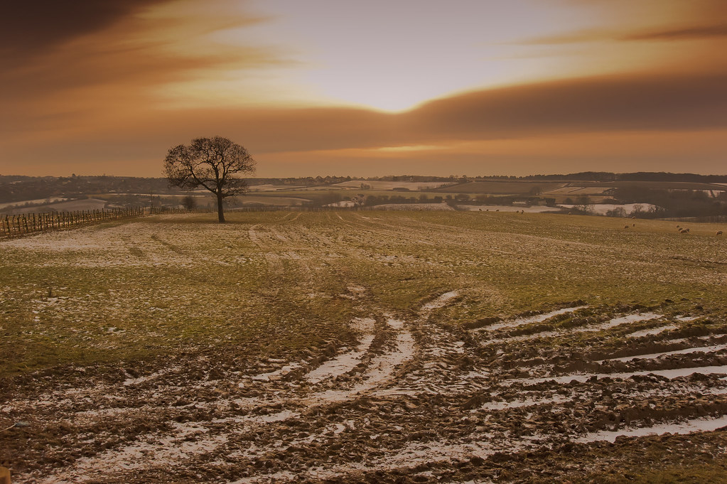 Wentworth-field-5378222935_a85e6299f5_b