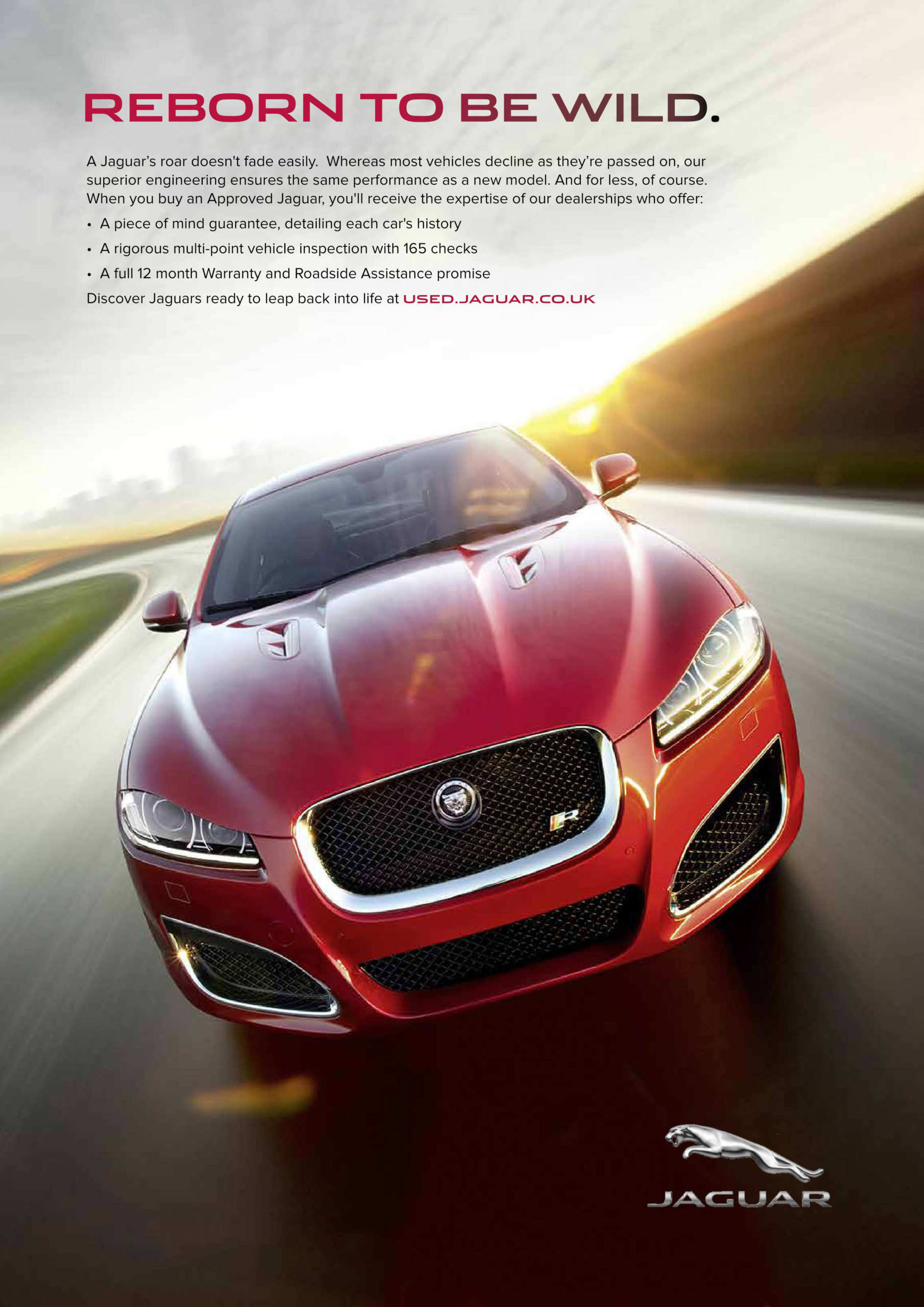 Jaguar-Reborn-AFF-PHOTO-5520-60-quality-scaled56